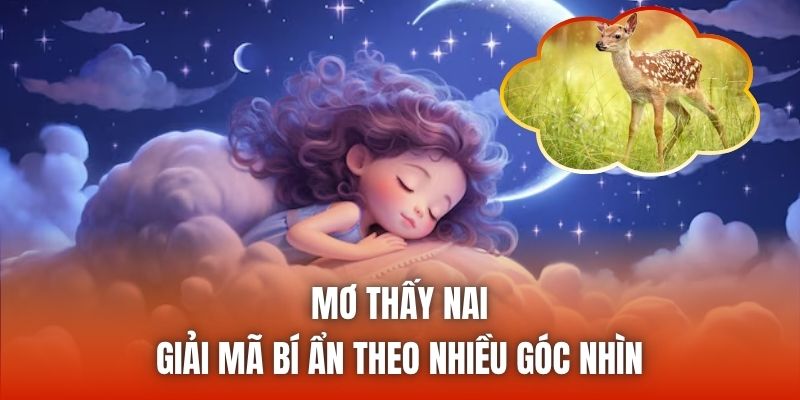 Mơ Thấy Nai | Giải Mã Bí Ẩn Theo Nhiều Góc Nhìn