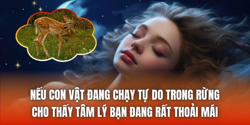 Nếu con vật đang chạy tự do trong rừng cho thấy tâm lý bạn đang rất thoải mái