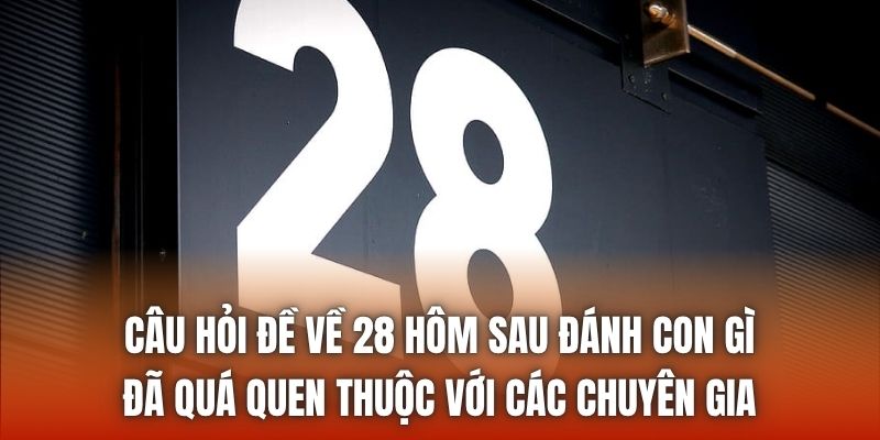 Câu hỏi đề về 28 hôm sau đánh con gì đã quá quen thuộc với các chuyên gia