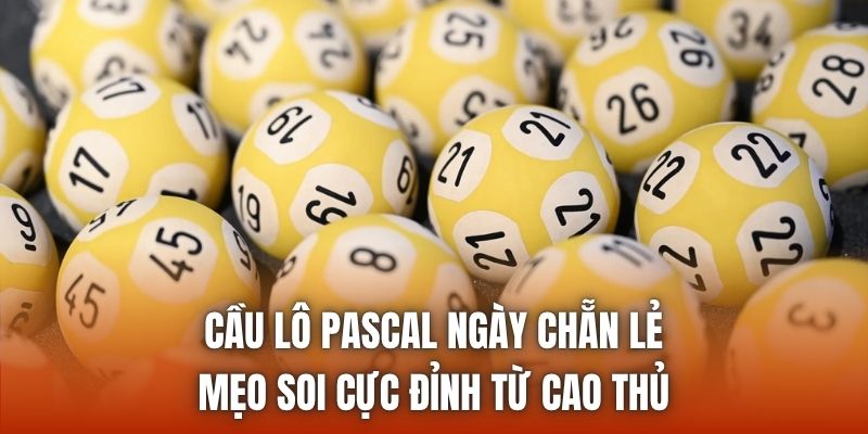 Cầu Lô Pascal Ngày Chẵn Lẻ | Mẹo Soi Cực Đỉnh Từ Cao Thủ
