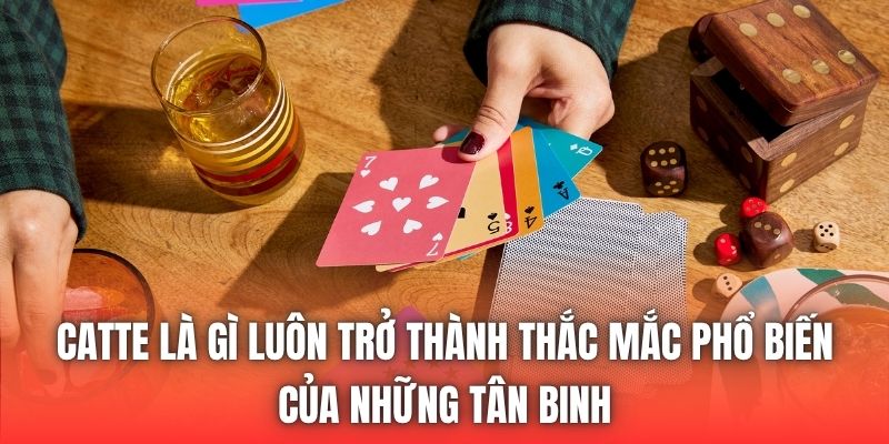 Catte là gì luôn trở thành thắc mắc phổ biến của những tân binh
