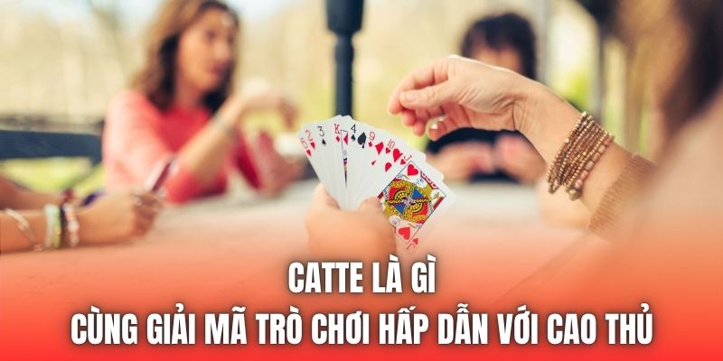 Catte Là Gì | Cùng Giải Mã Trò Chơi Hấp Dẫn Với Cao Thủ