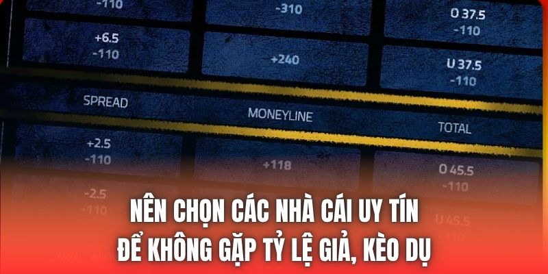 Nên chọn các nhà cái uy tín để không gặp tỷ lệ giả, kèo dụ